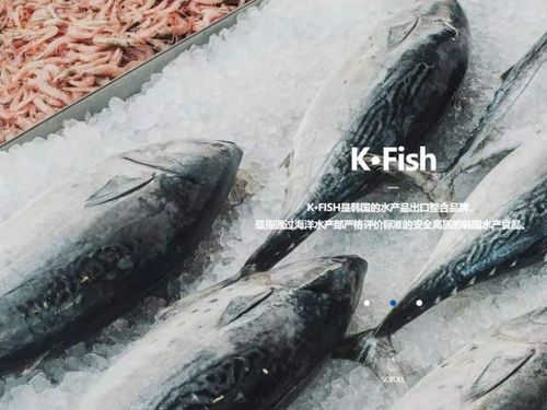 韓國水產協會上海貿易支援中心舉辦K-Seafood線上采購洽談會，助力國內貿易代理合作